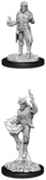 Миниатюра Dungeons & Dragons. Nolzur's Marvelous Miniatures: Male Tiefling Sorcerer 1