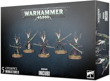 Warhammer 40,000. Drukhari Incubi