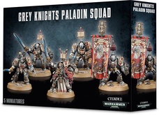 Warhammer 40,000. Grey Knight Paladins Squad