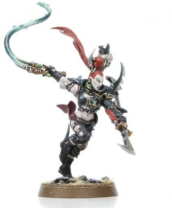 Warhammer 40,000. Start Collecting! Drukhari