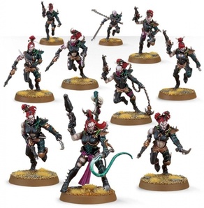 Warhammer 40,000. Start Collecting! Drukhari