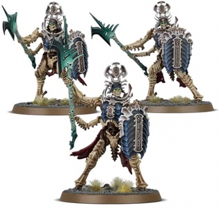 Warhammer. Age of Sigmar. Ossiarch Bonereapers: Necropolis Stalkers