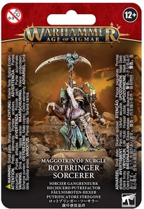 Warhammer Age of Sigmar. Maggotkin of Nurgle: Rotbringer Sorcerer